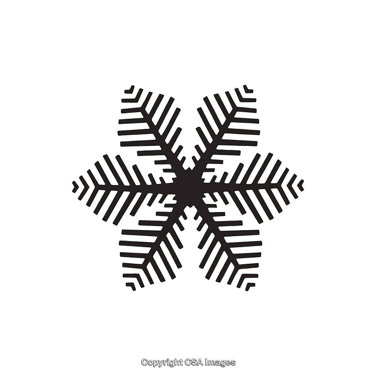 Abstract Black and White Snowflake-Shaped Geometrical Dingbat Design