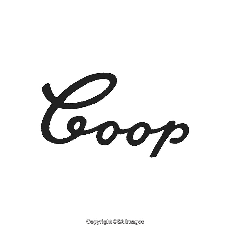 Elegant Calligraphy Featuring Stylized Word Logo on Plain White Background