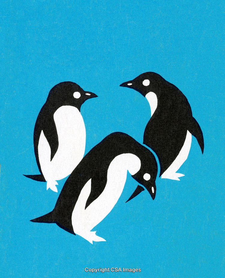 Illustration of Three Penguins on a Blue Background Showing Minimalist Design