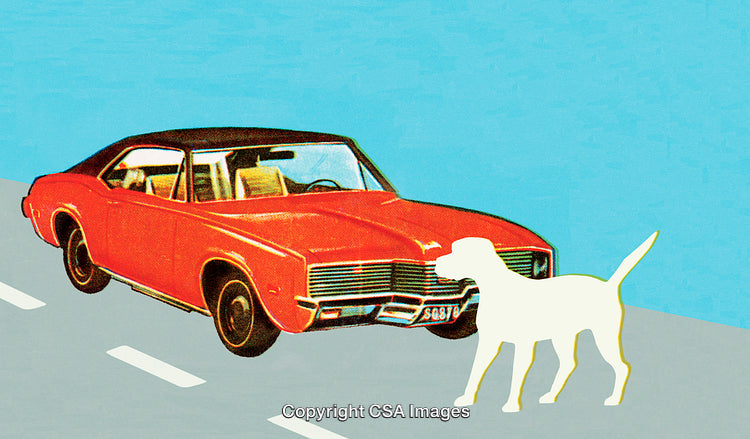 Retro Illustration of a Red Car and Silhouetted Dog On a Road