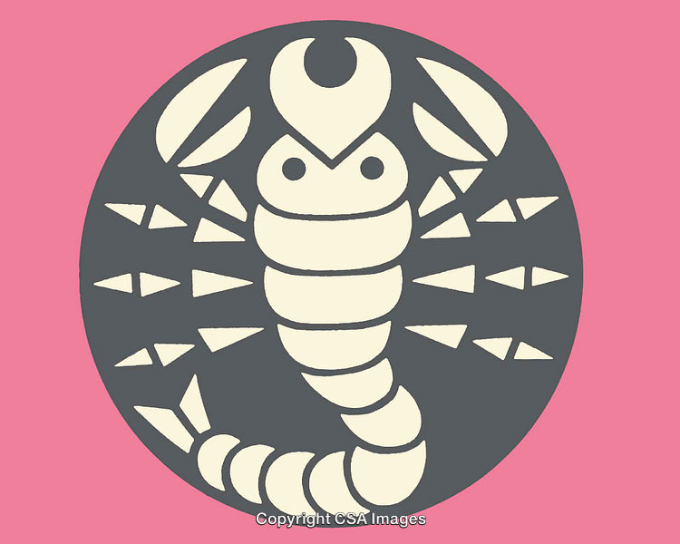 Graphic Illustration of a Scorpion Design on Pink Background