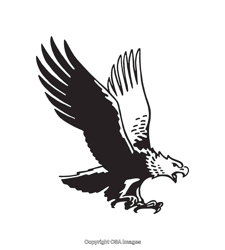 Monochrome Illustration of an Eagle in Flight with Spread Wings
