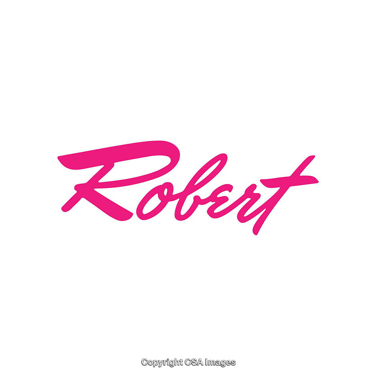Elegant Bold Pink Typography Artwork Displaying Name Robert in Script Font