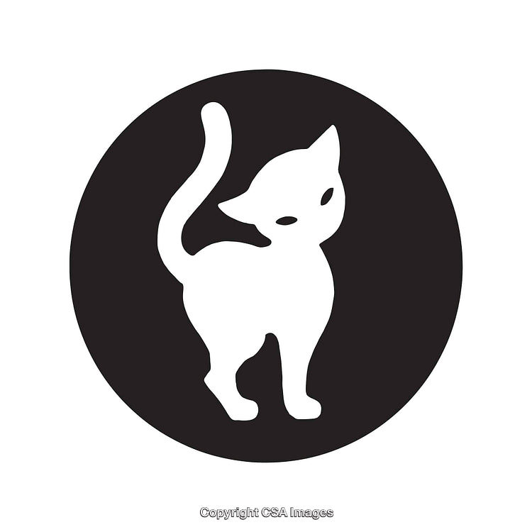 Black and White Silhouette of a Cat With Raised Tail