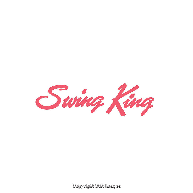 Stylized Pink Handwritten Script Text on Clean White Background