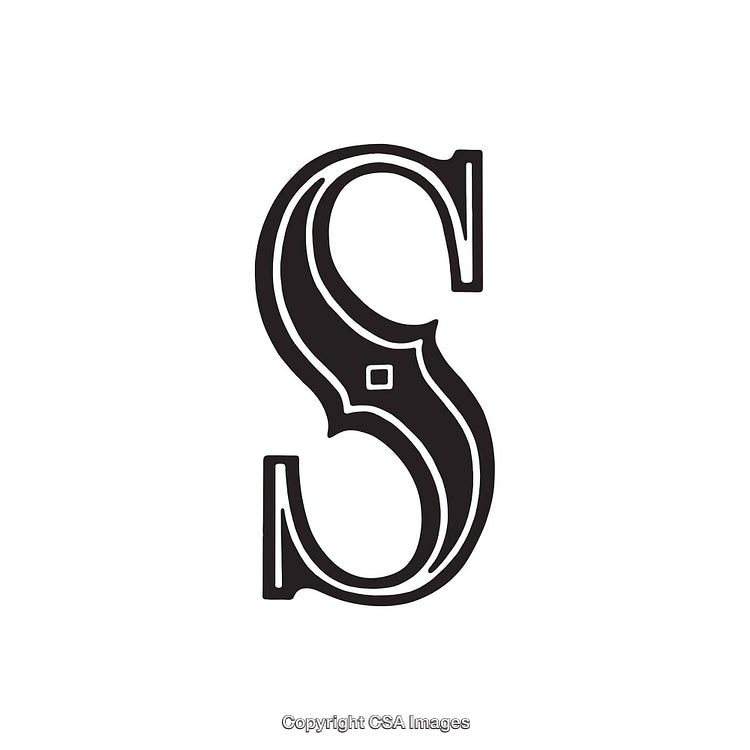 Stylized Black Letter 'S' With Decorative Typography Design