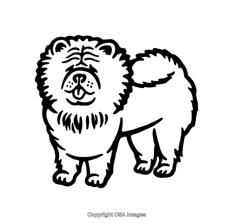 Chow Chow Dog Line Art Illustration in Black and White Style