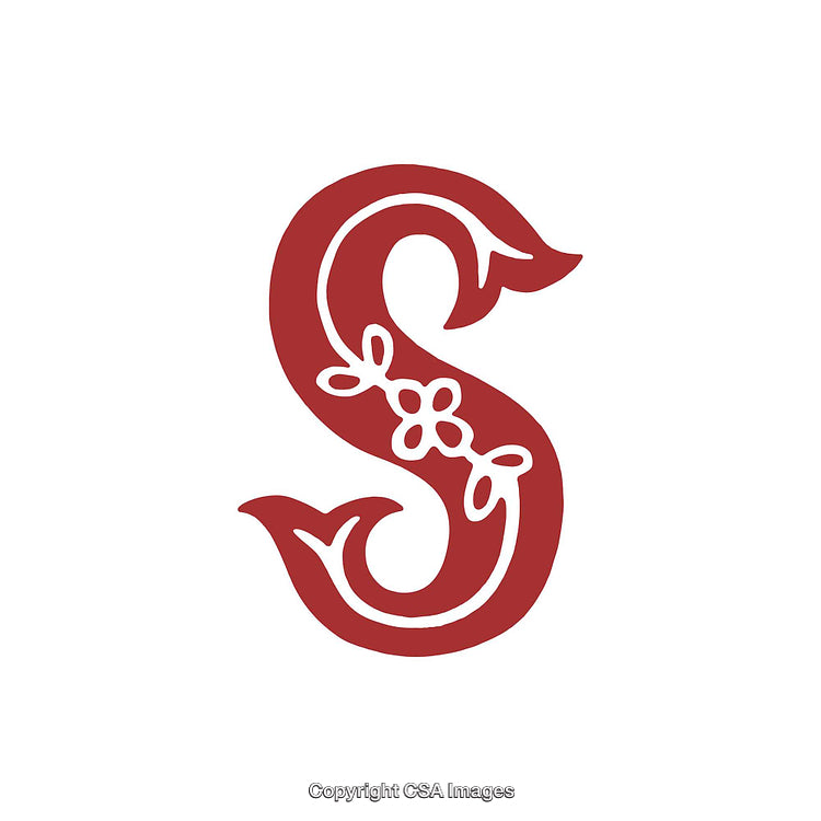 Elegant Letter S Design with Floral Embellishments in Red on White Background