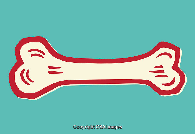 Colorful Illustration of a Bone on a Vibrant Teal Background