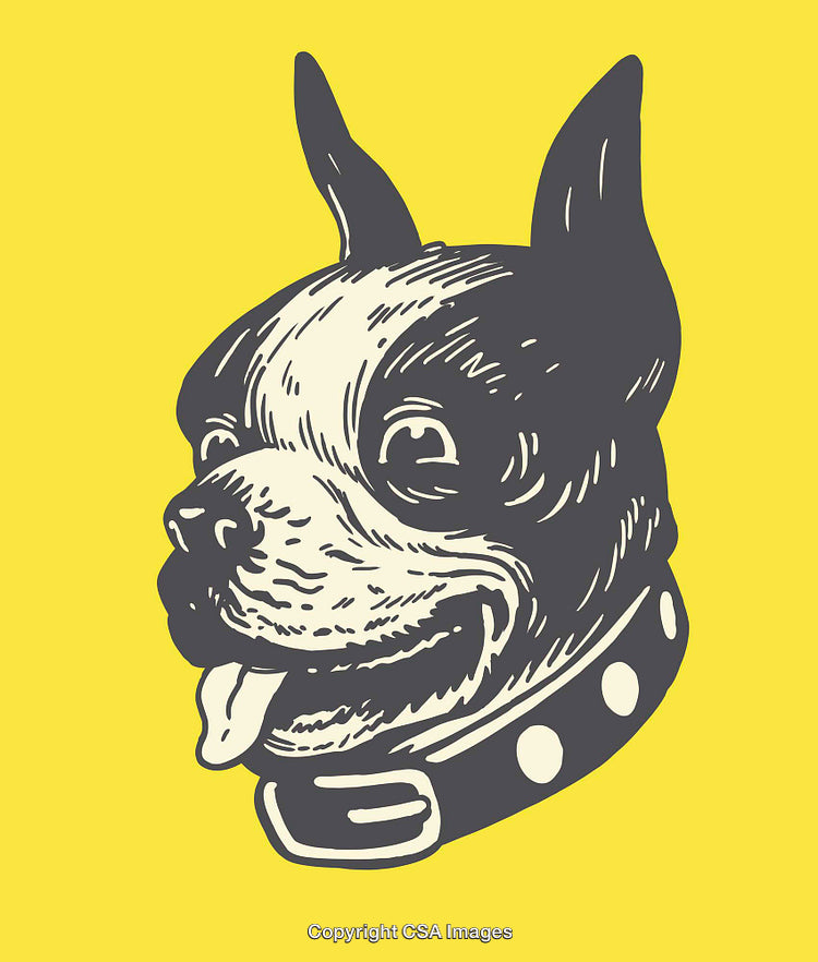 Colorful Line Art of a Dog Illustration on a Vibrant Yellow Background