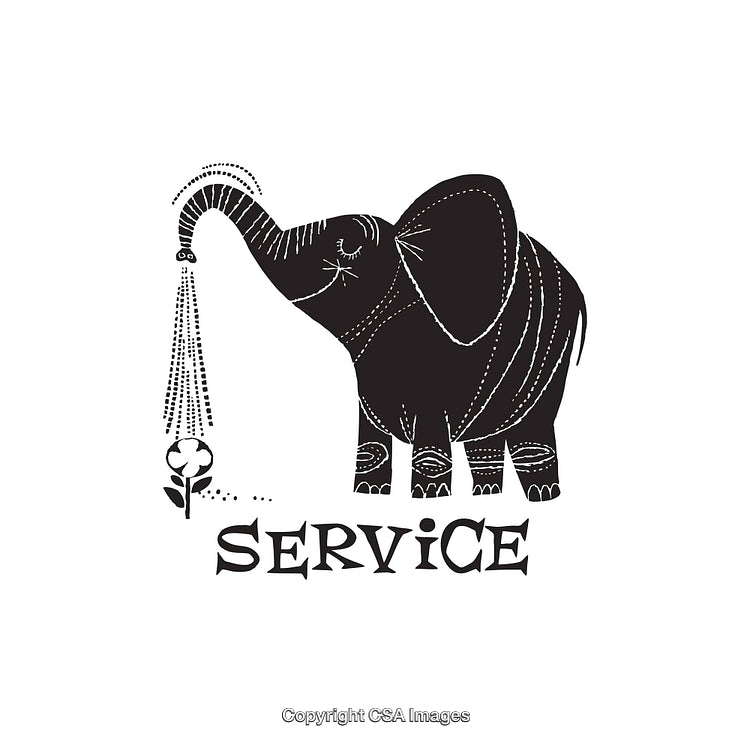 Elephant Watering a Flower in Black and White Line Art Style