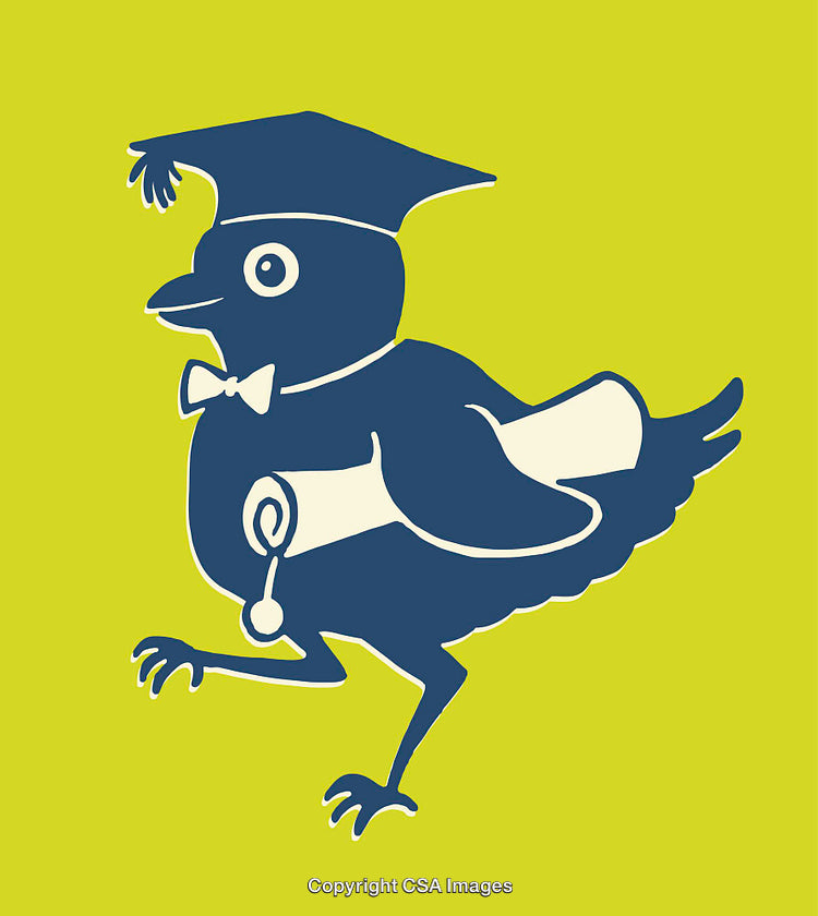 Stylized Bird Graduate Holding a Diploma on a Vibrant Background