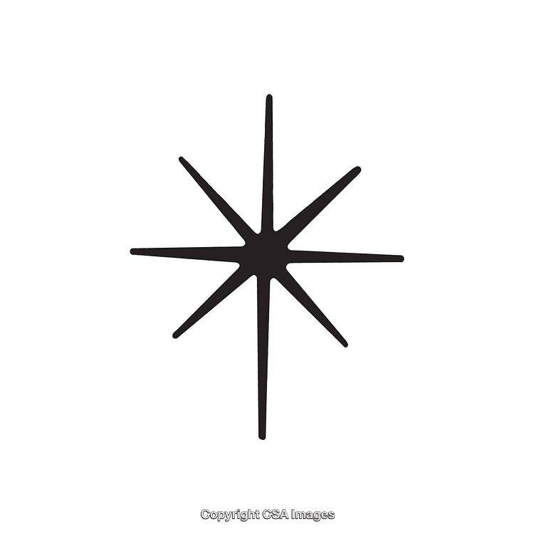 Black Eight-Ray Star Symbol on White Background
