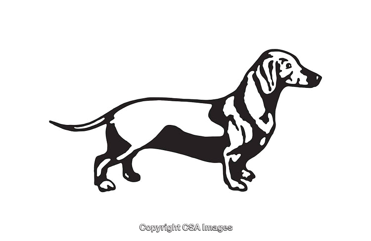 Black and White Illustration of a Dachshund Dog Silhouette
