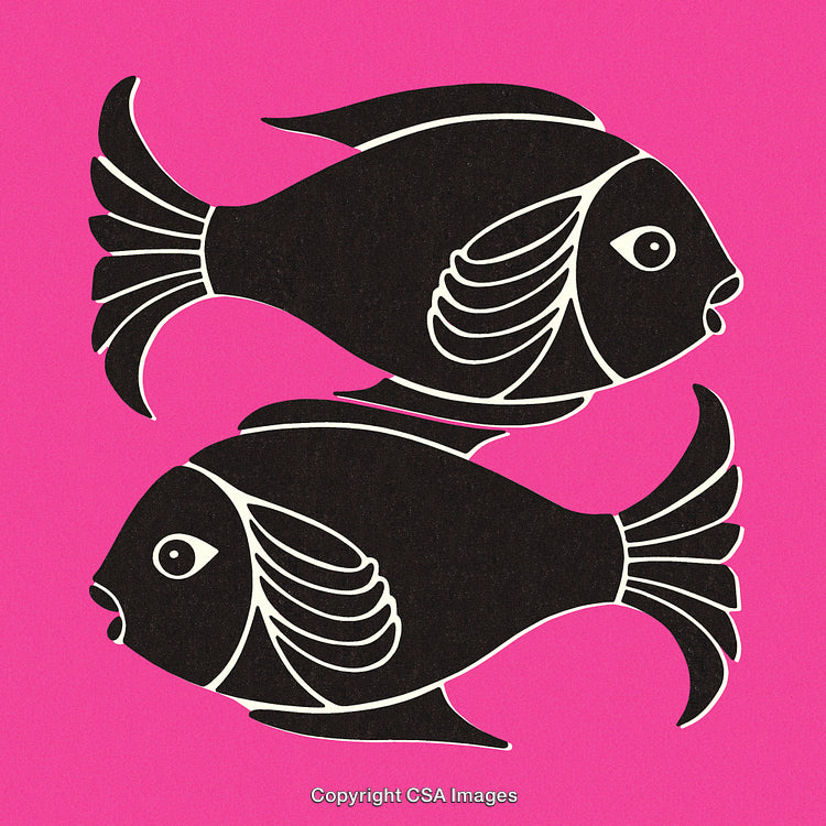 Black Fish Art on Pink Background Representing Minimalist Contrast Design