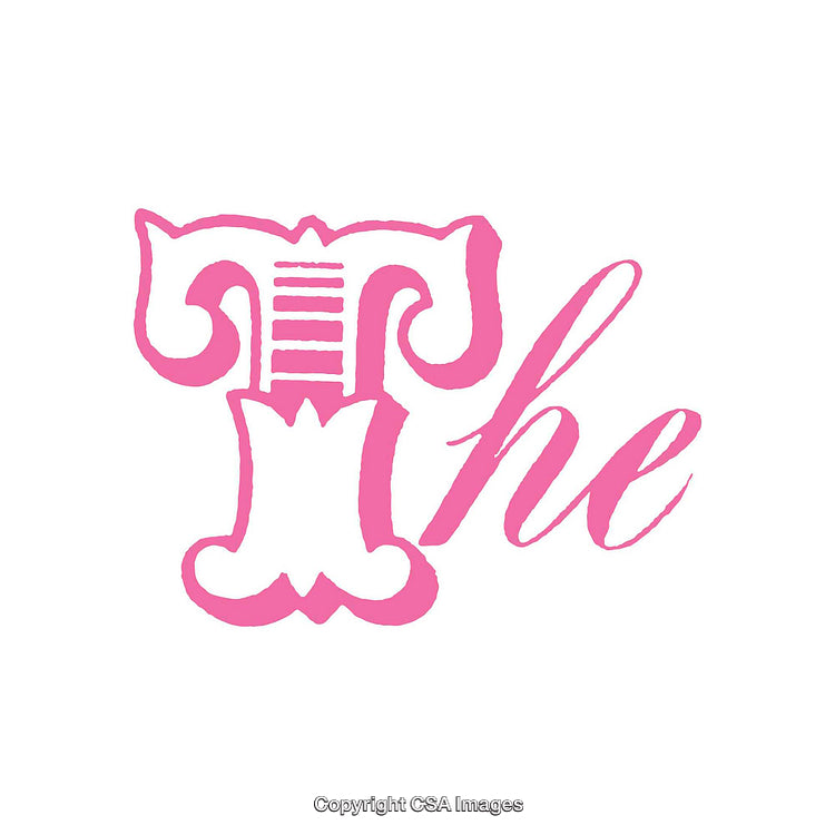 Pink Ornamental Letter Design Featuring Decorative Typography and Artistic Styling