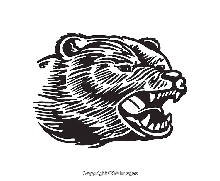 Fierce Bear Graphic Illustration in Black and White Line Art Style