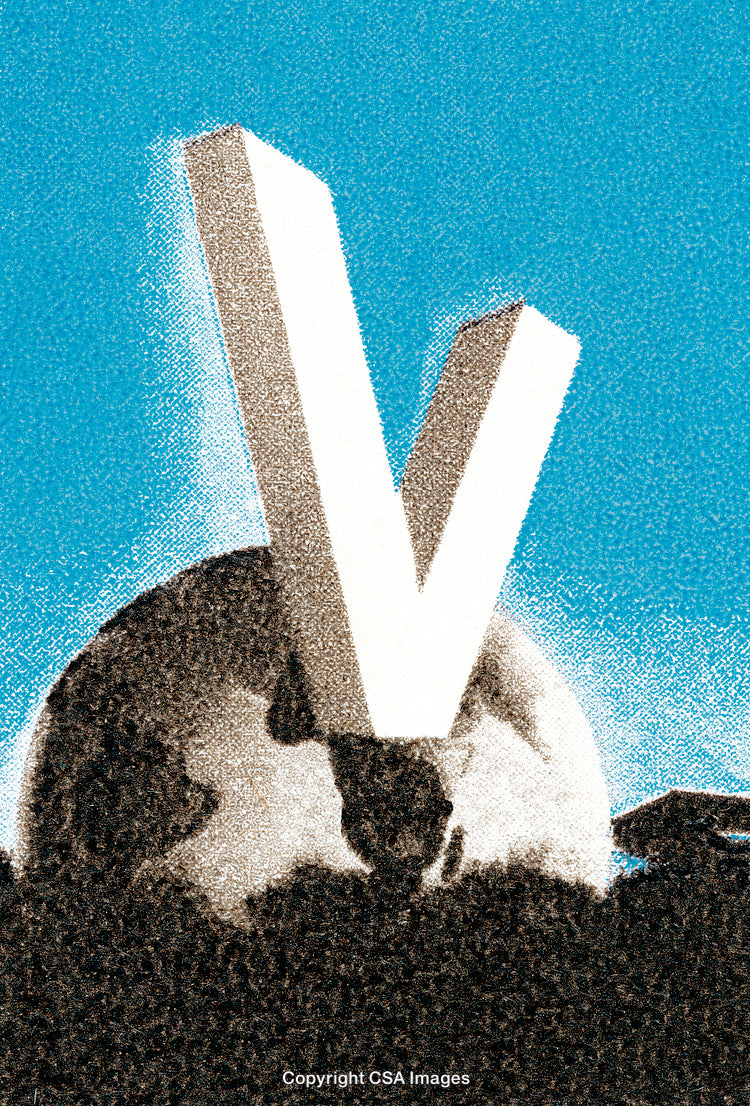 Abstract Art Depicting a Large V Letter Embedded in a Globe