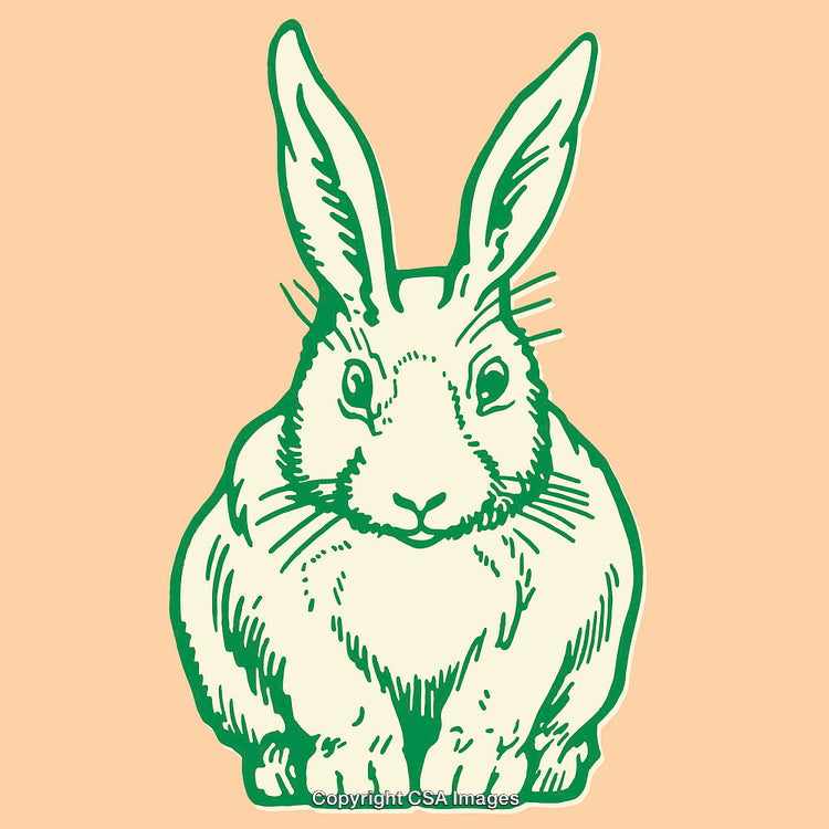 Color Line Art Drawing of a Rabbit With a Pastel Background
