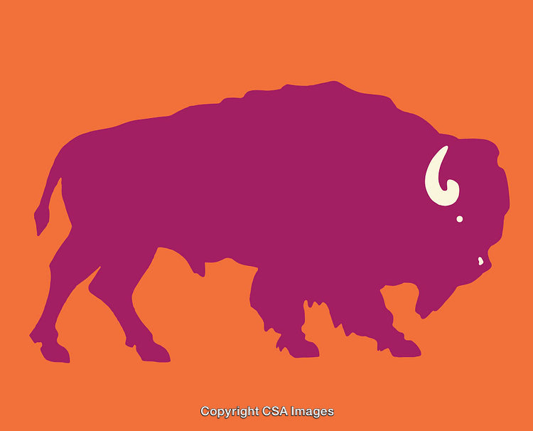 Bold Buffalo Silhouette on Vibrant Color Background