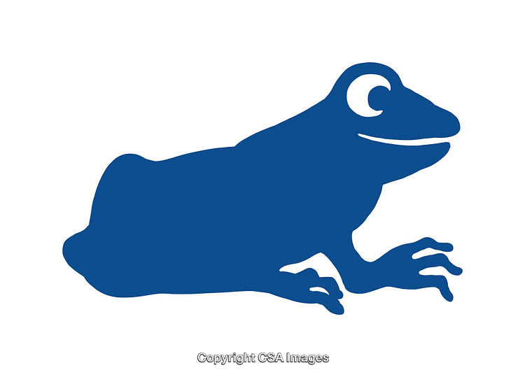 Blue Frog Silhouette Icon Isolated on White Background for Design Use