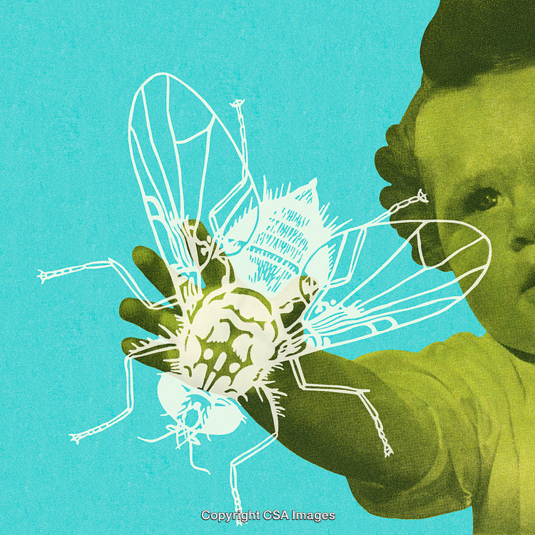 Abstract Artwork of a Child Holding a Fly on a Colorful Background