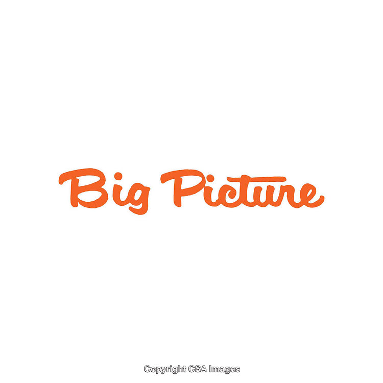 Stylized Typography Design Featuring the Phrase 'Big Picture' in Bold Orange