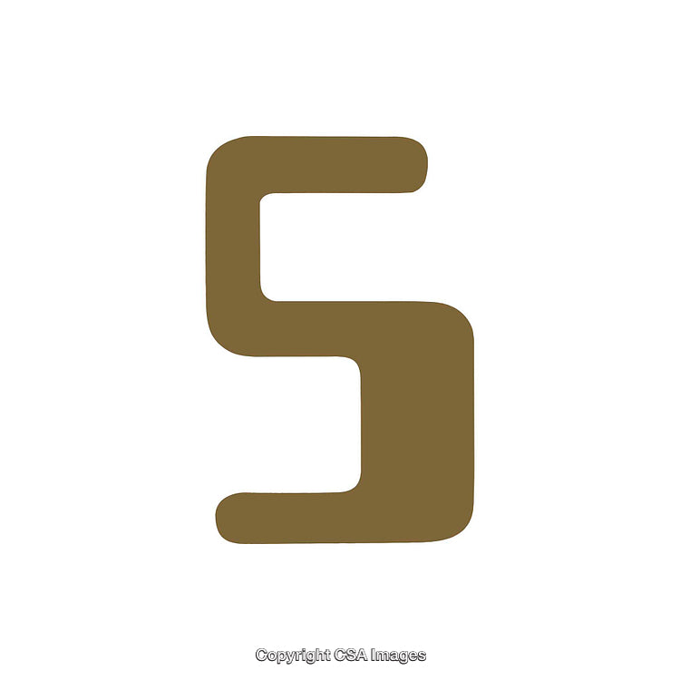 Abstract Brown Letter S on a White Background