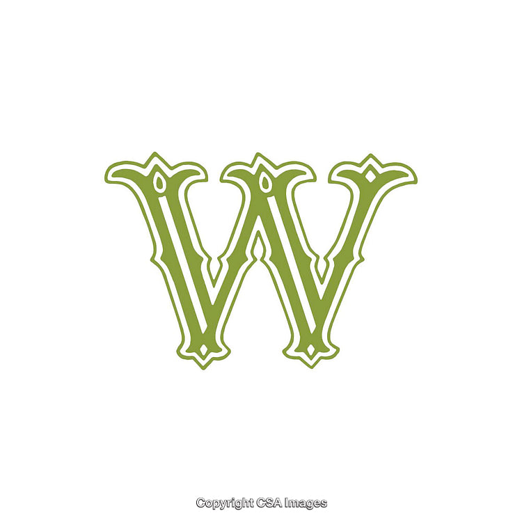 Elegant Green Ornamental Letter W on a White Background