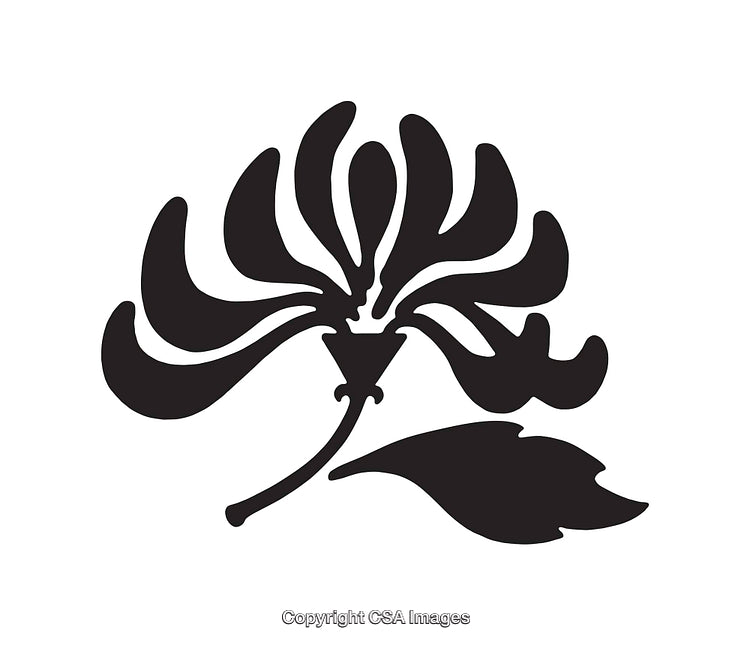Stylized Black And White Flower Illustration with Leaves and Petals