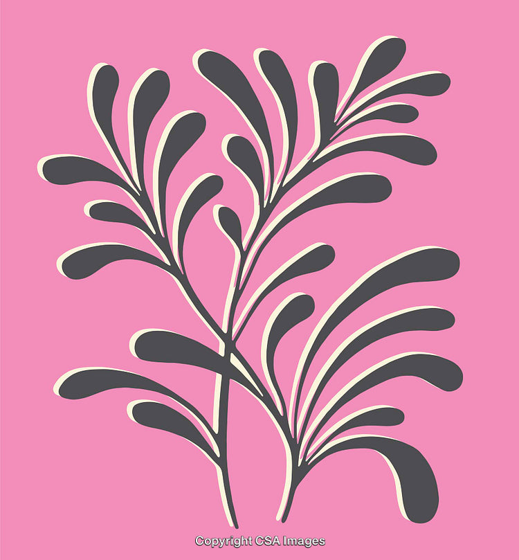 Elegant Gray Foliage Illustration on a Vibrant Pink Background