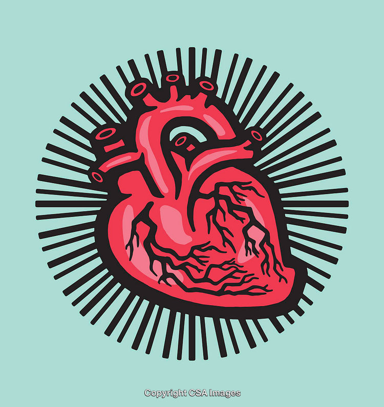 Vivid Anatomical Heart Illustration with Radiating Lines on a Blue Background