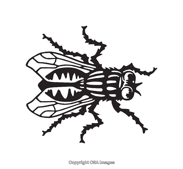 Black And White Illustration Of A Detailed Fly Insect Silhouette