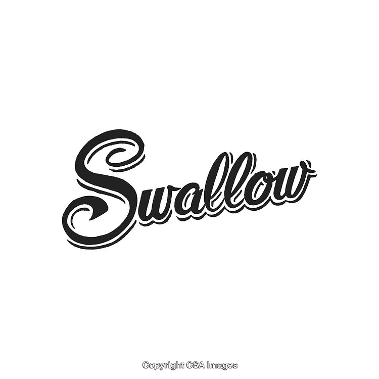 Elegant Black Calligraphy of 'Swallow' on White Background