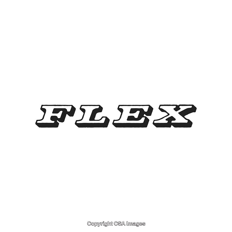 Stylized Text Logo Design Depicting the Word 'FLEX' in Bold Letters