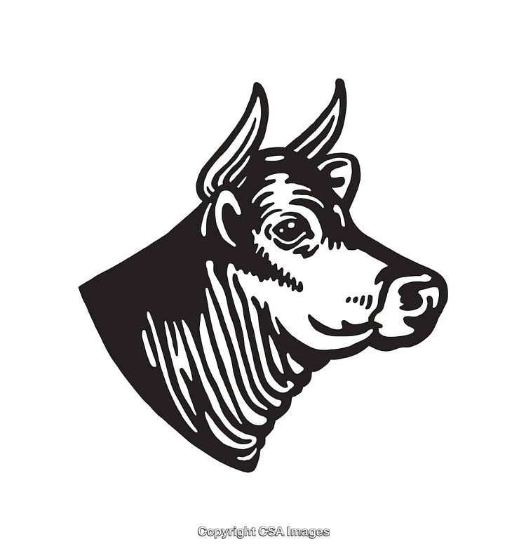 Detailed Black and White Illustration of a Bull Head