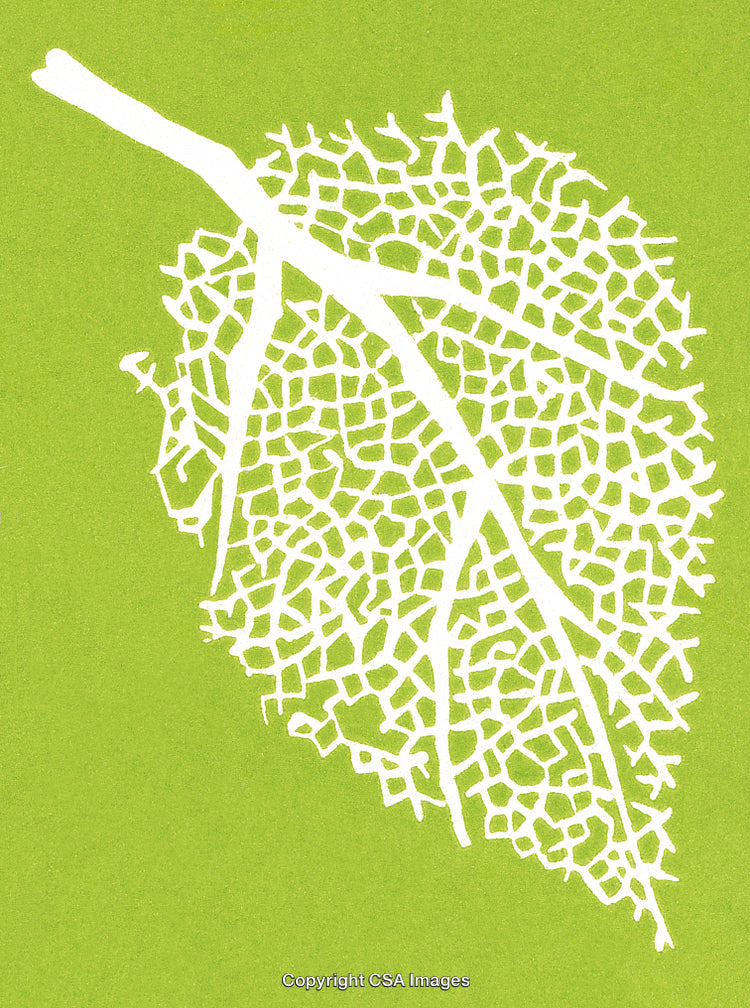 Abstract Green Background Featuring Leaf Skeleton Pattern Design in White
