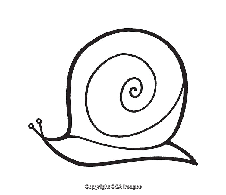 Black and White Line Art Illustration of a Stylized Snail Design
