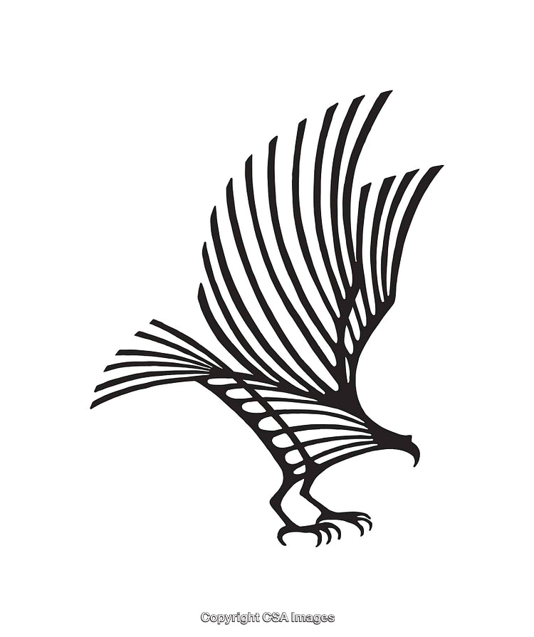 Stylized Black and White Line Art of a Soaring Bird in Motion