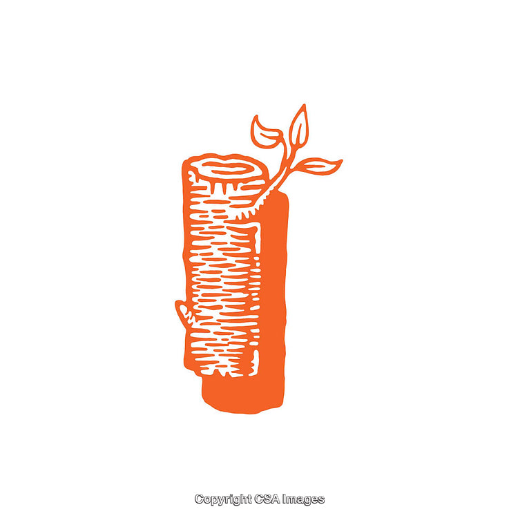 Letter I Illustrated as Wood With Sprouting Leaves in Orange