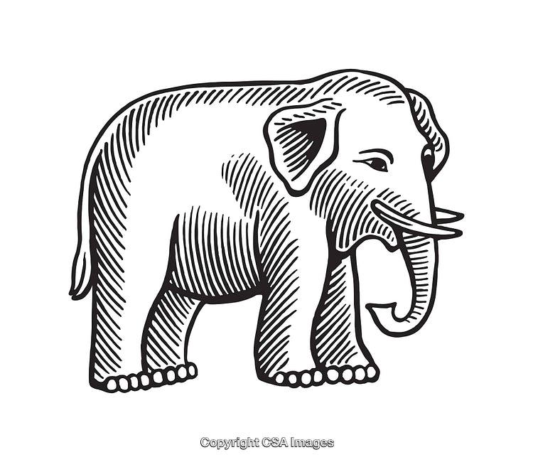 Black and White Detailed Line Art Illustration of an Elephant