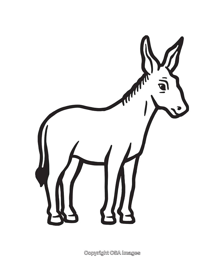 Black and White Line Illustration of a Standing Donkey