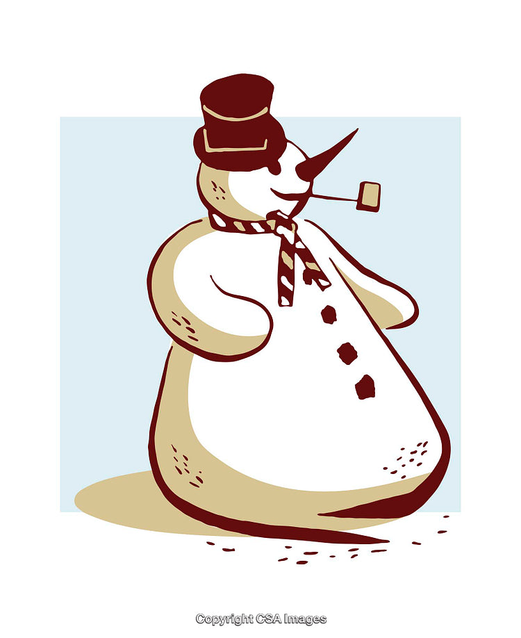 Charming Snowman Illustration in Festive Colors With Winter Elements and Accessories