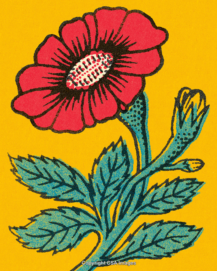 Colorful Graphic Artwork of a Red Flower With Green Leaves on Yellow