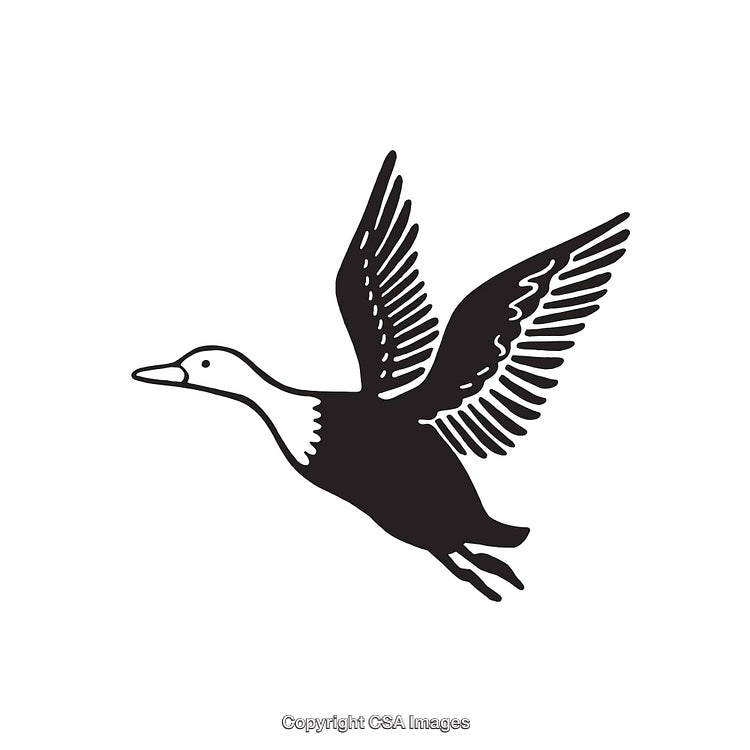 Black and White Line Art of a Flying Bird