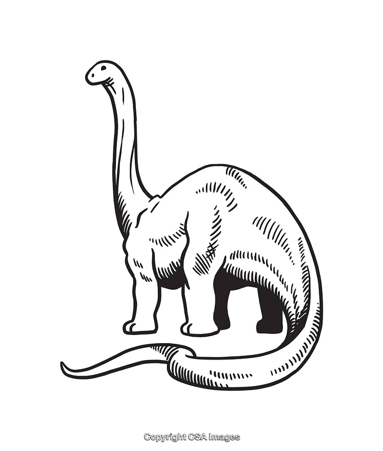Black and White Line Art Illustration of a Dinosaur with Long Neck