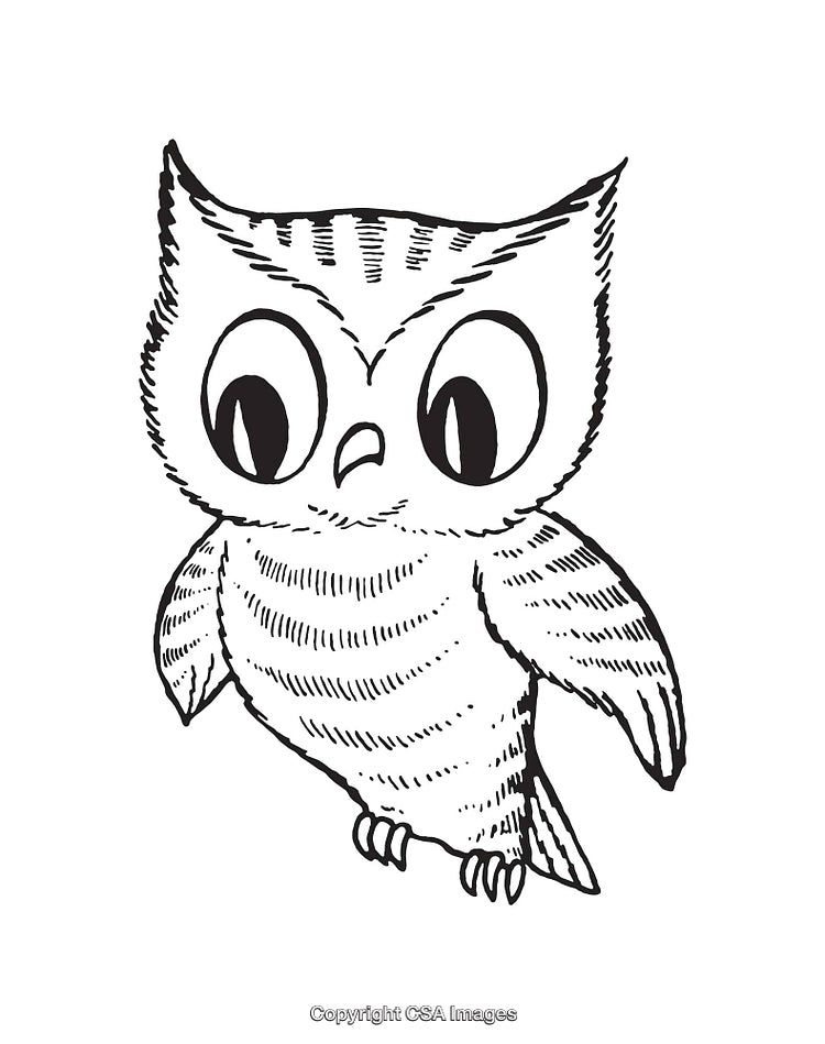 Black and White Line Art Illustration of a Cute Cartoon Owl