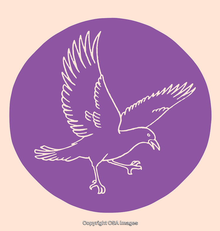 Purple Monochrome Line Art of a Bird in Flight