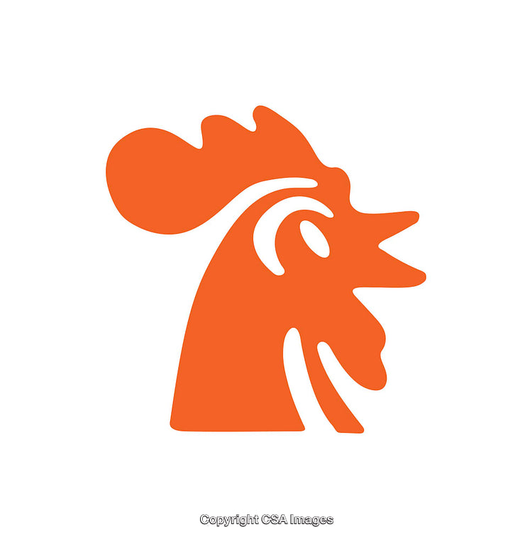 Abstract Rooster Icon in Bold Orange Outline Style with Clean Lines