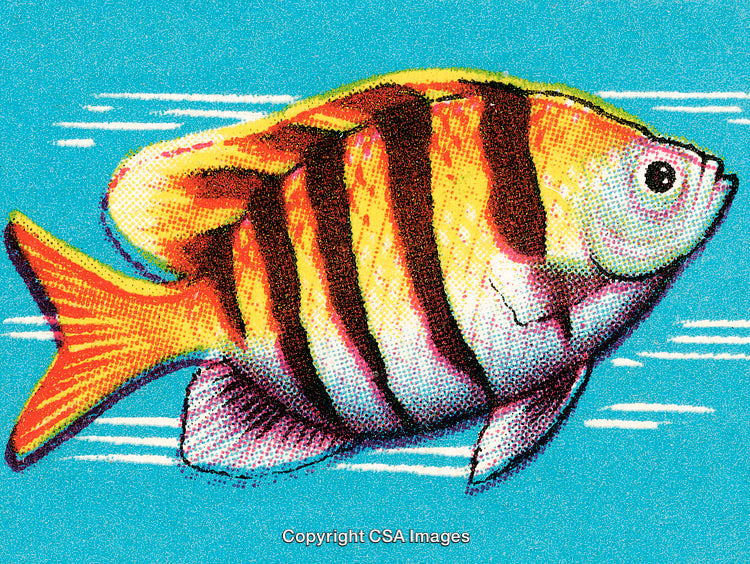 Colorful Fish with Stripes in a Vibrant Blue Background
